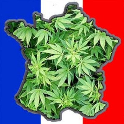 cannabis-en-france